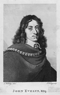John Evelyn / Tookey