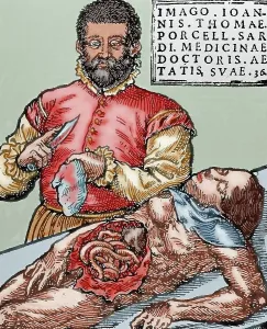 Intestines Prints: John Thomas Porcell (1528-ca. 1580). Spanish doctor