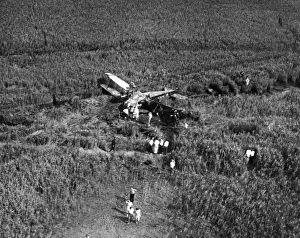 Mollison Prints: Johnsons Plane Crash