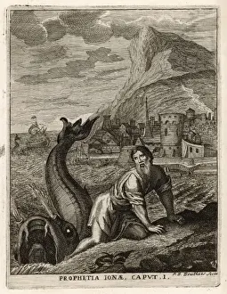 Jonah + Whale
