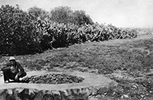 Jealous Gallery: Josephs Well, Holy Land