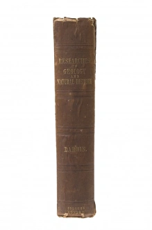 Spine Gallery: Journal of Researches in Geology and Natural history