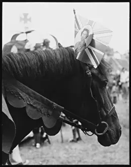 Mane Prints: Jubilee Horse 1977
