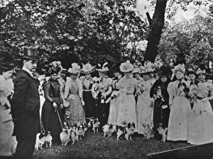 Images Dated 8th March 2017: The Judge of the Exhibition of Japanese Spaniels