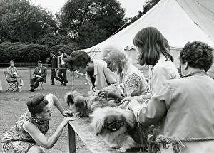 Shirley Prints: Judging in progress at a dog show at Platt Fields Park, Manchester. Date: 1970
