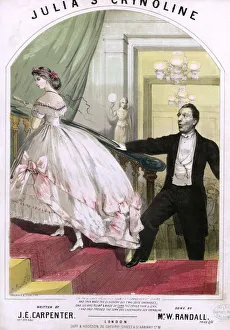 Images Dated 23rd January 2019: Julias Crinoline, by J E Carpenter