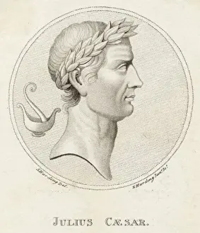 Julius Caesar (Harding)