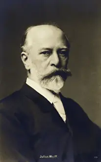 Wolff Prints: Julius Wolff - German writer and poet