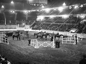 Images Dated 1st September 2011: Show Jumping