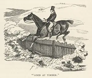 Picket Prints: Jumping a Picket Fence