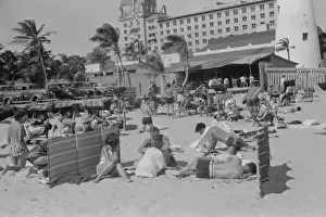 June in January, Miami Beach, Florida