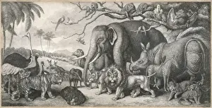 Jungle Animals in Group
