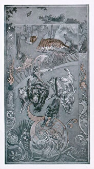 1894 Collection: Jungle Book. Mowgli. Baloo