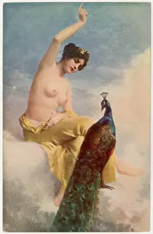 Peacock Prints: Juno and the Peacock