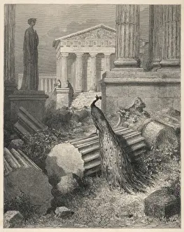 Juno and the Peacock