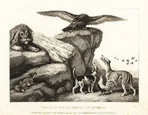 Gay And Phaedrus Prints: Jupiter's bird admonishing an assembly of animals