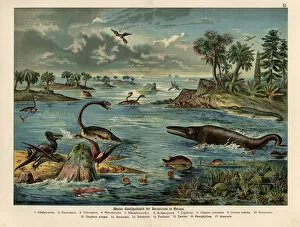 Jurassic reptiles, dinosaurs, fish and birds