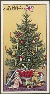 Archetypal Prints: Just a Tree