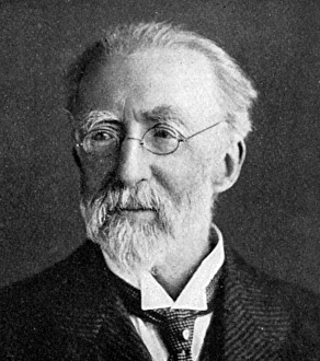 Images Dated 21st September 2015: Justin McCarthy, Irish writer and politician
