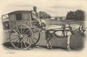 D River Prints: A Jutka carriage - India