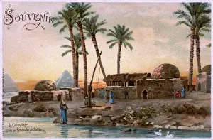 Tress Prints: Kafr near Cairo, Egypt - situated close to the pyramids