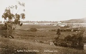 Kaitaia, New Zealand