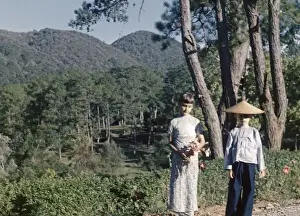 Kalaw Prints: Kalaw garden - Kalaw
