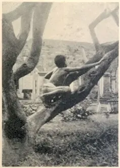 Mango Prints: Kamala Climbing
