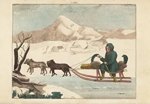 Kamchatka Prints: Kamchadal man riding a dog-sled, Kamchatka, 1800s