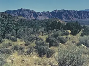 Props Prints: Kanab - Utah