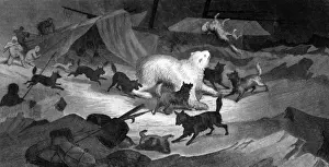 Kane / Arctic Expedition