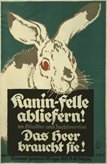 Kanin-felle abliefern! an Handler und Zuchtvereine. Das Heer