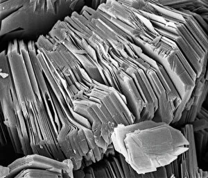 Scanning Electron Microscope Collection: Kaolinite