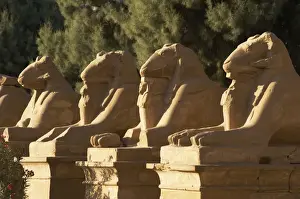 Karnak Temple. Avenue of sphinxes with rams head (symbol of