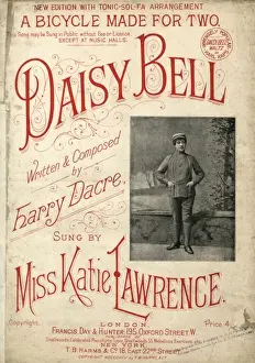 Katie Lawrence / Daisy