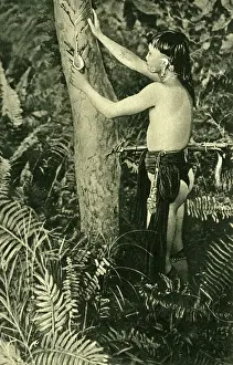 Kayan man collecting poison for blowpipe, Borneo, SE Asia