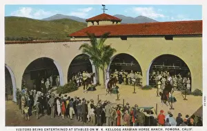 Pomona Prints: Kellogg Arabian Horse Ranch, Pomona, California, USA