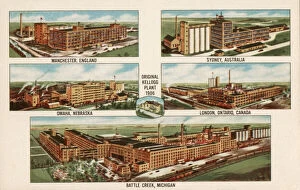 Images Dated 17th July 2019: Kelloggs Co Plants - Corn Flakes Promotional postcard