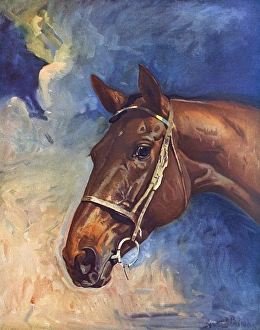 Images Dated 11th August 2017: Kellsboro Jack - winner of the Grand National, 1933