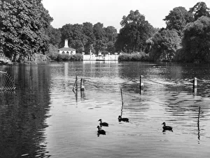 Images Dated 18th March 2011: Kensington Gardens Lake