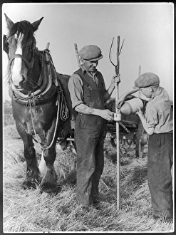 Kentish Gallery: Kentish Cider Drinkers