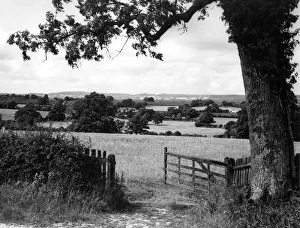 Kentish Gallery: Kentish Countryside