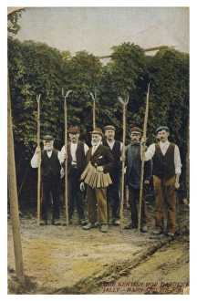 Kentish Hop Garden
