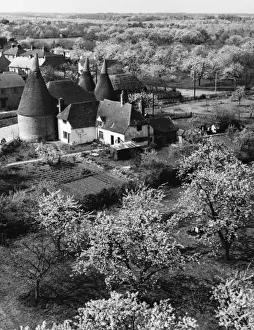 Orchards Prints: Kentish Scenery
