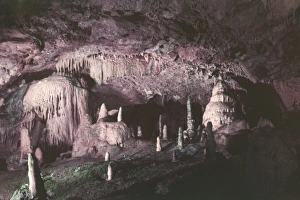 Images Dated 24th October 2011: Kents Cavern