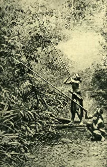 Kenyah men using their blowpipes, Borneo, SE Asia