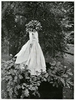 Images Dated 14th November 2017: Kern Baby 1902