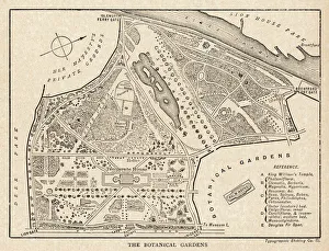 Arboretum Collection: Kew - Arboretum Plan