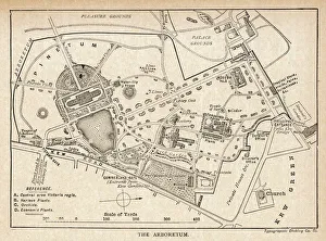 Arboretum Collection: Kew - Botanical Garden