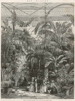 Kew Gardens Palm House